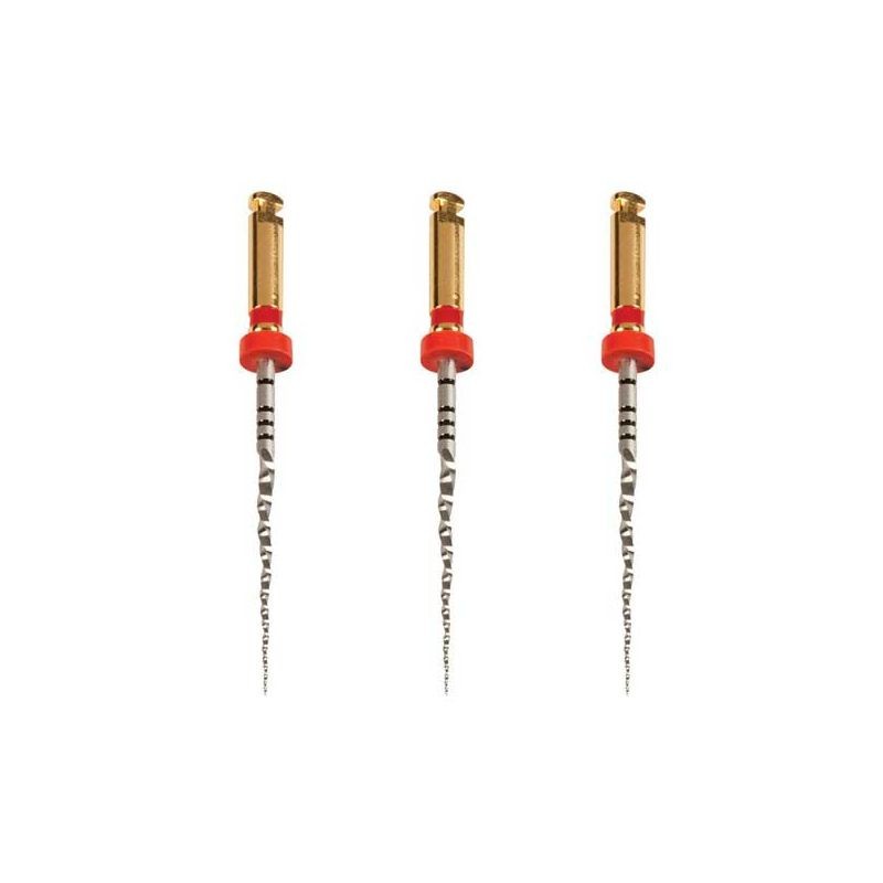 Protaper Next X2  21mm Con 3